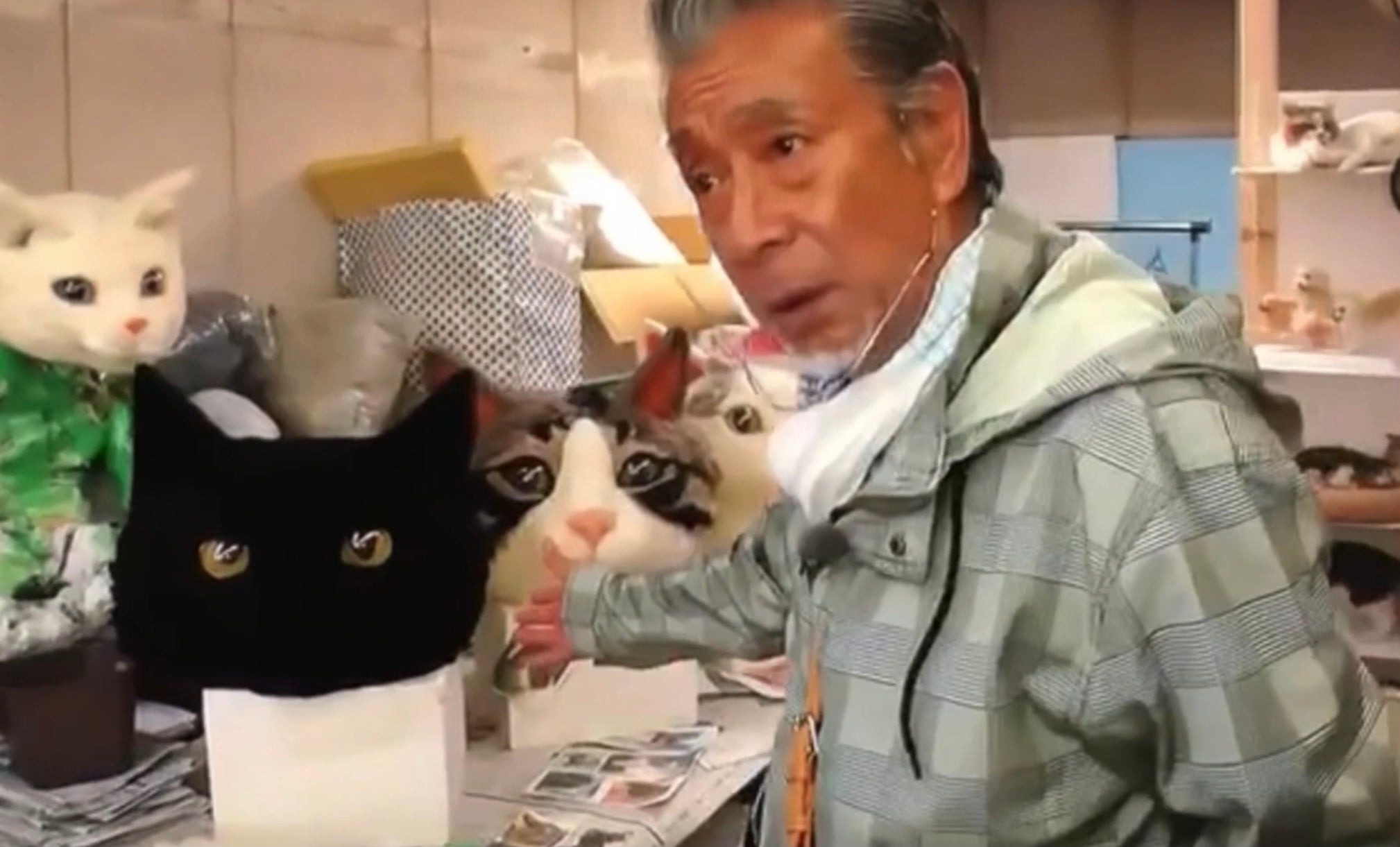 リアル猫ヘッド | 猫美術研究所